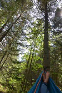 Hamac forêt PVT Canada
