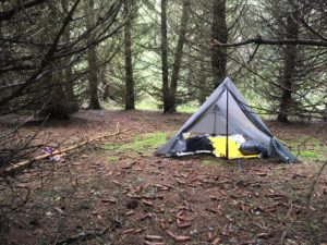 bivouaquer tente tarp forêt