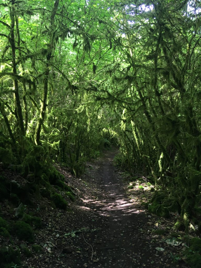 Chemin rando st jacques