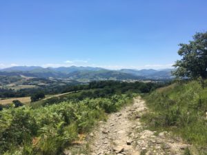 Compostelle chemin randonnée