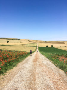 st jacques randonnée rando chemin