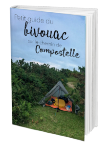 Ebook L'instant vagabond