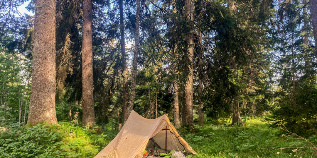 bivouaquer-nature-randonnée-trek-forêt