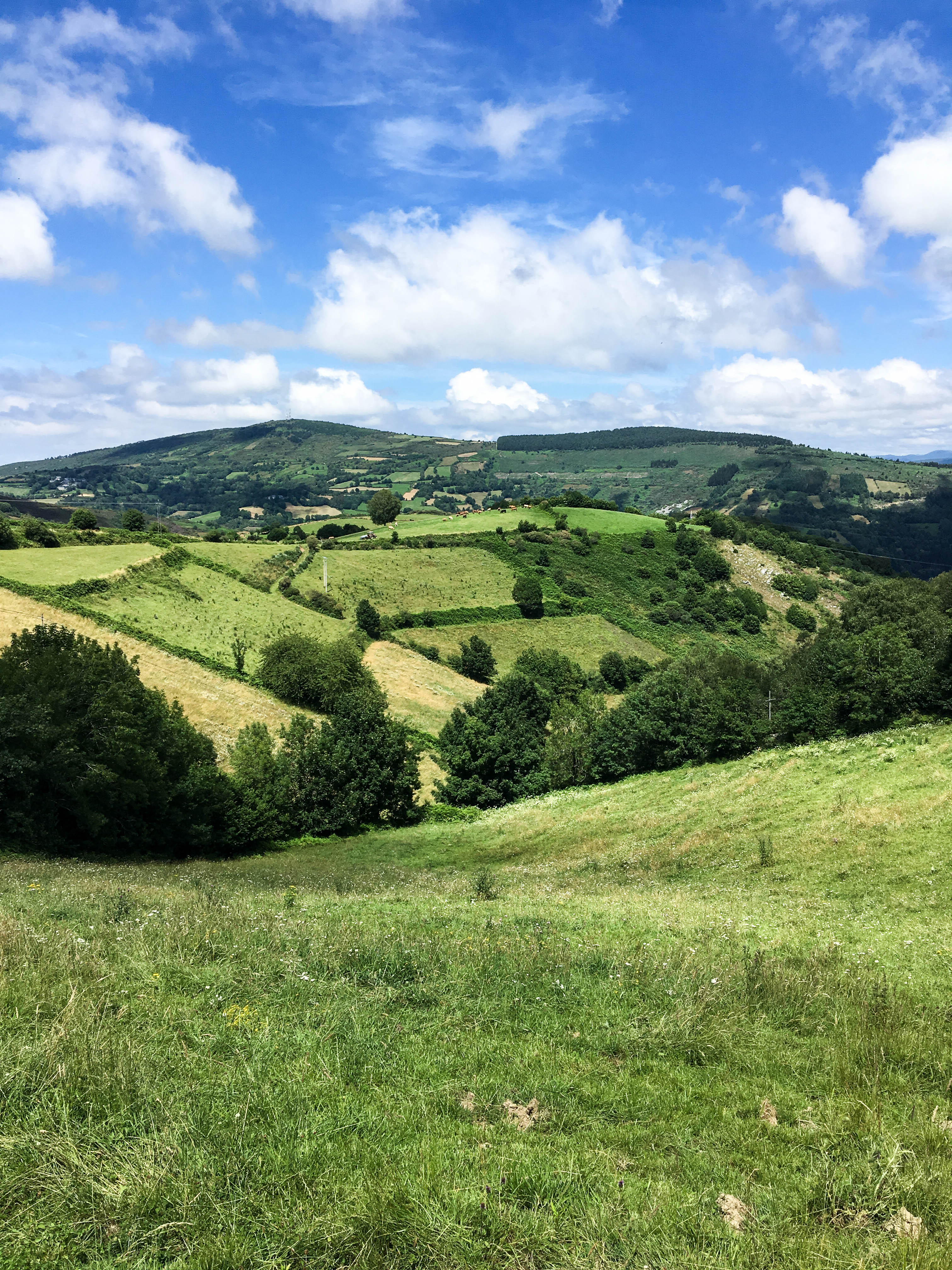 Compostelle-camino-santiago-frances