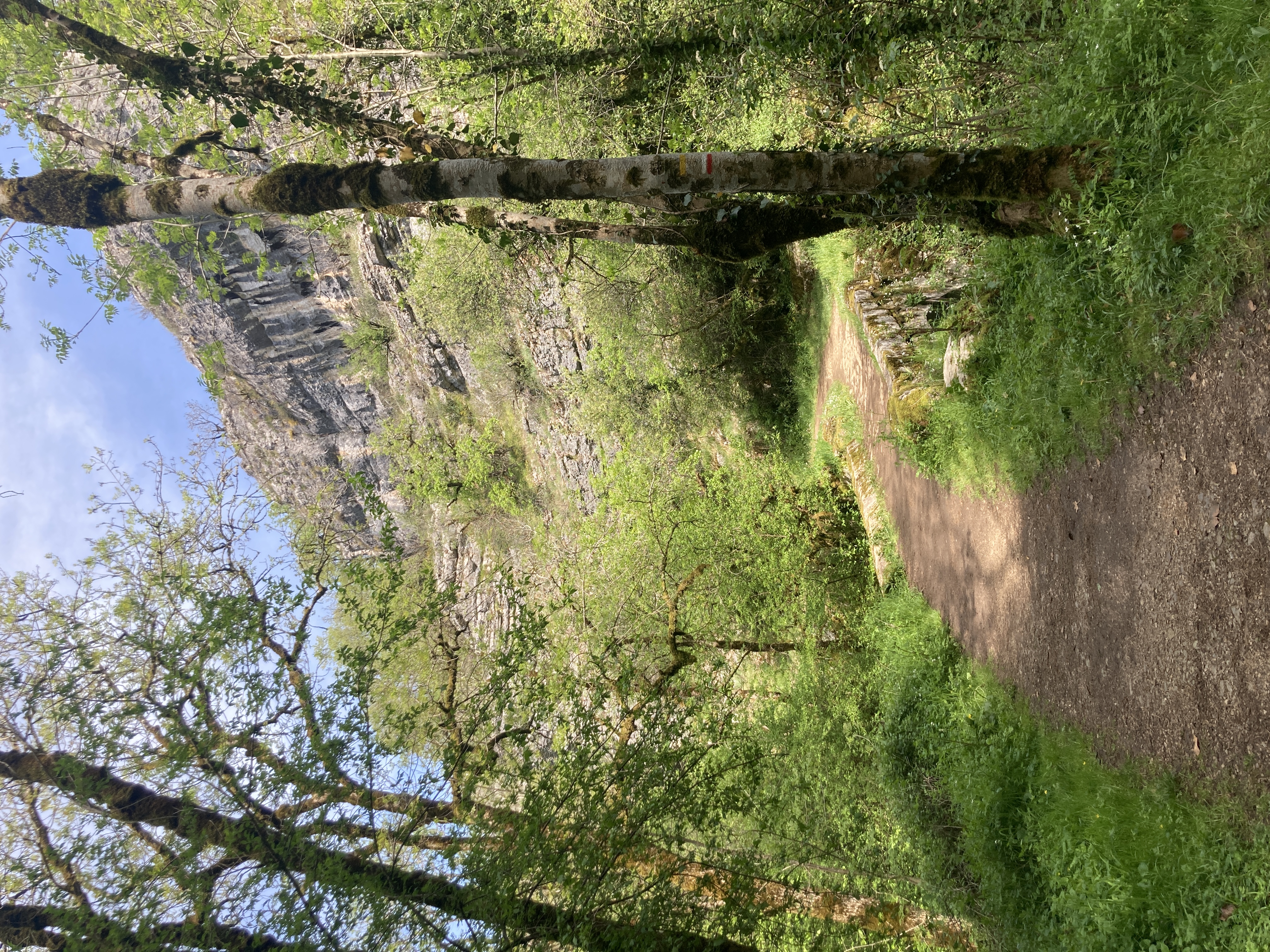 rando-moulin-du-saut