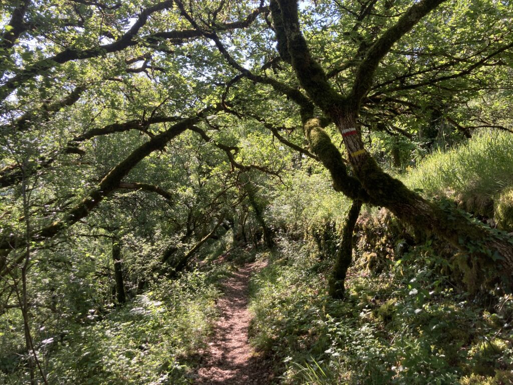 rando-gr651-st-jacques-espagnac