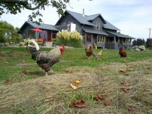 ile-etats-unis-volontaire-workaway