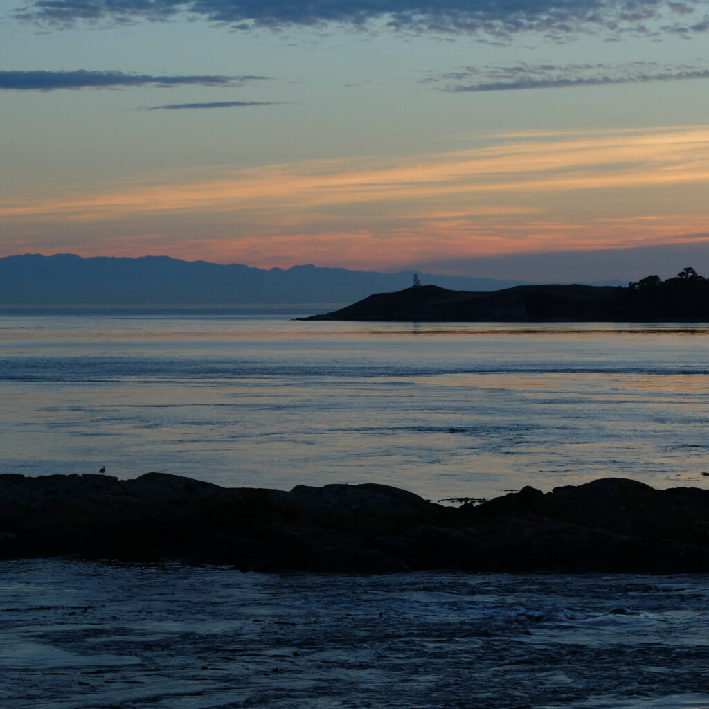 ferme-etats-unis-volontaire-workaway