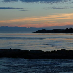 ferme-etats-unis-volontaire-workaway