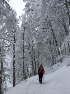 randonnee-auvergne-neige-raquettes