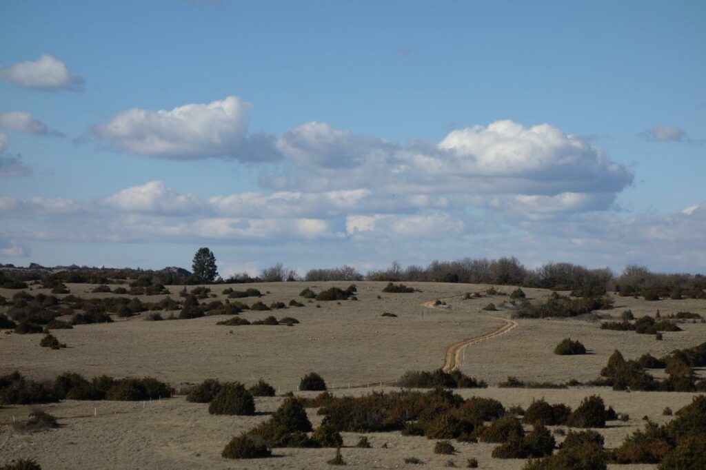 Tour-du-larzac-rando-gr71C